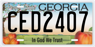 GA license plate CED2407