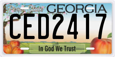 GA license plate CED2417