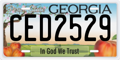 GA license plate CED2529
