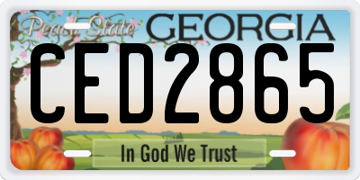 GA license plate CED2865