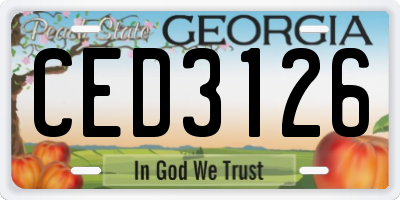 GA license plate CED3126