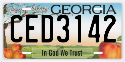 GA license plate CED3142