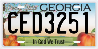 GA license plate CED3251