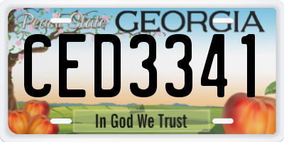 GA license plate CED3341