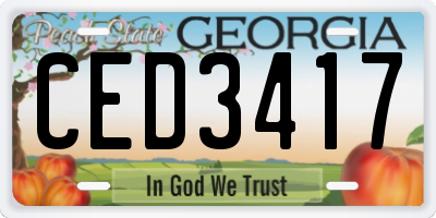 GA license plate CED3417
