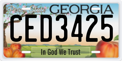 GA license plate CED3425