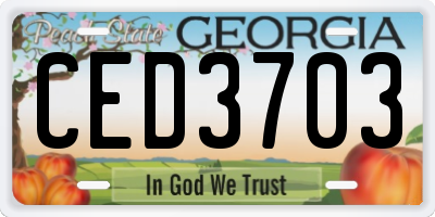 GA license plate CED3703