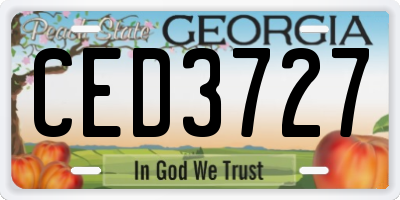 GA license plate CED3727