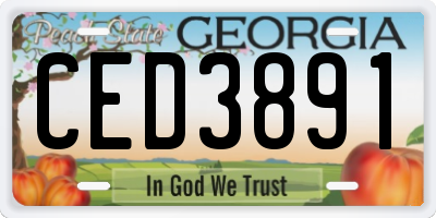 GA license plate CED3891