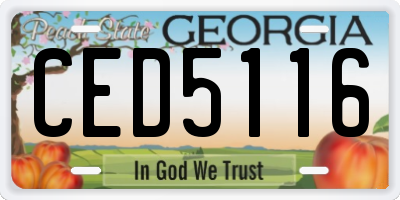 GA license plate CED5116