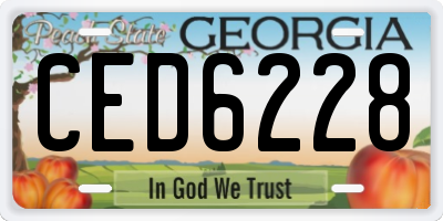 GA license plate CED6228