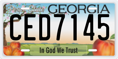 GA license plate CED7145