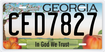 GA license plate CED7827