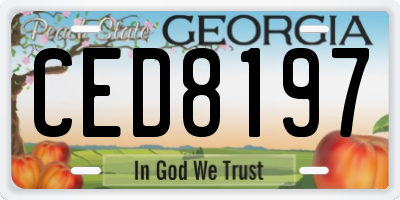 GA license plate CED8197