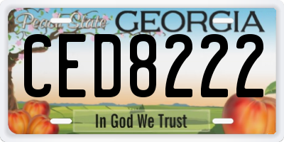 GA license plate CED8222
