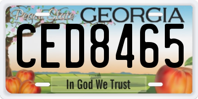 GA license plate CED8465