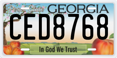 GA license plate CED8768