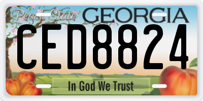 GA license plate CED8824