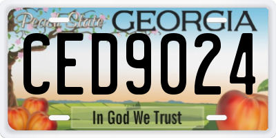 GA license plate CED9024