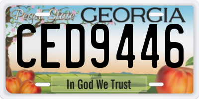 GA license plate CED9446