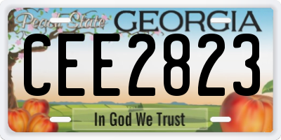 GA license plate CEE2823