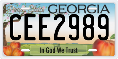 GA license plate CEE2989