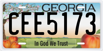 GA license plate CEE5173