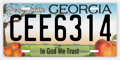 GA license plate CEE6314