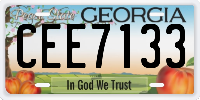 GA license plate CEE7133