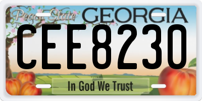 GA license plate CEE8230