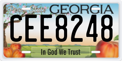 GA license plate CEE8248