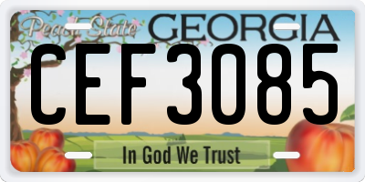 GA license plate CEF3085