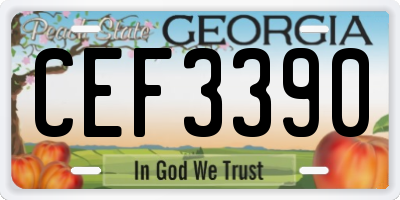 GA license plate CEF3390