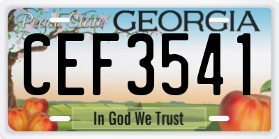 GA license plate CEF3541