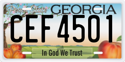 GA license plate CEF4501