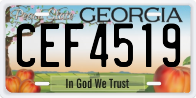 GA license plate CEF4519