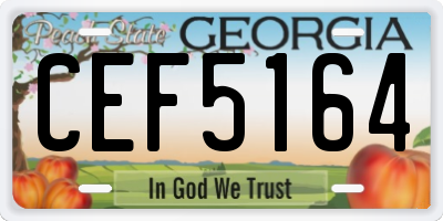 GA license plate CEF5164