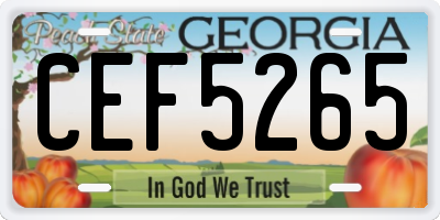 GA license plate CEF5265