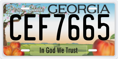 GA license plate CEF7665