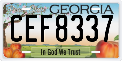 GA license plate CEF8337