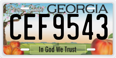 GA license plate CEF9543