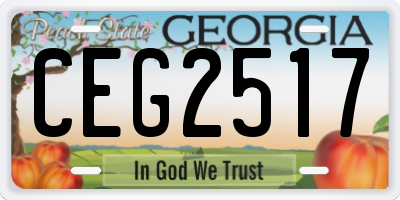 GA license plate CEG2517