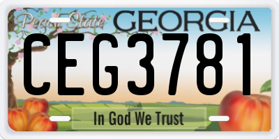 GA license plate CEG3781