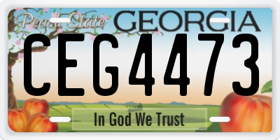 GA license plate CEG4473