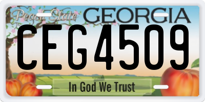 GA license plate CEG4509