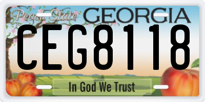 GA license plate CEG8118