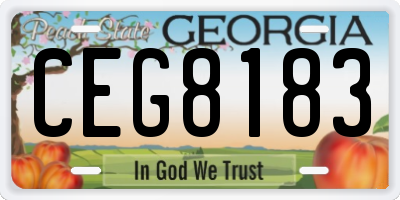 GA license plate CEG8183