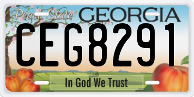 GA license plate CEG8291