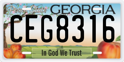 GA license plate CEG8316