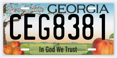 GA license plate CEG8381
